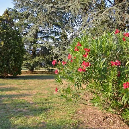 Gli Oleandri Capannori