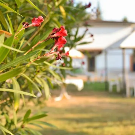 Bed & Breakfast Gli Oleandri