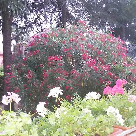 Gli Oleandri Bed & Breakfast Capannori